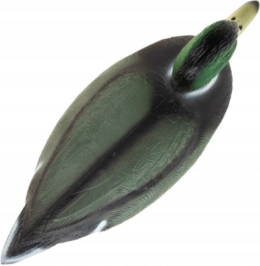 Struttura galleggiante per lo stagno