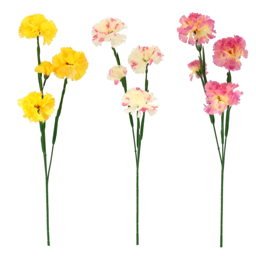 Assortiment de couleurs élégantes