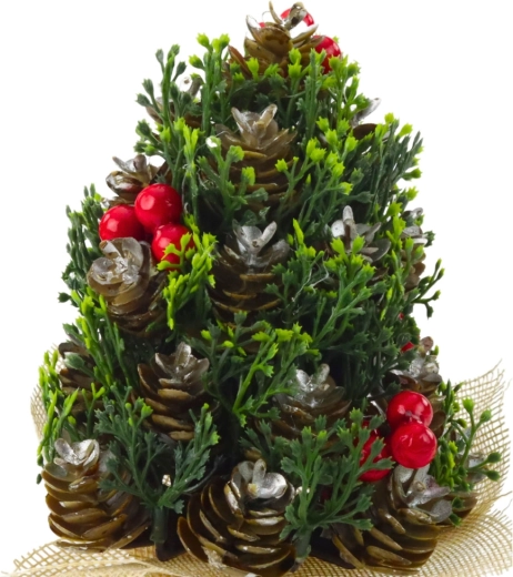 Realistische details van dennenappels en bessen