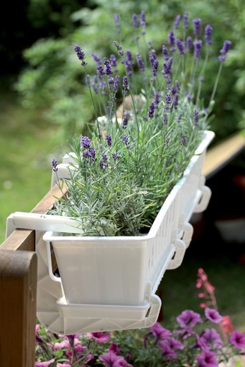 Design blanc élégant pour tout balcon