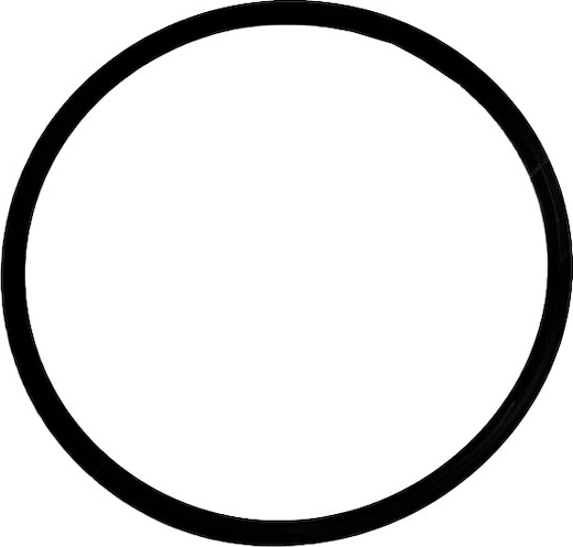 Prefilter lid O-ring for ProStar 6000 filtration