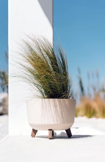 Espace suffisant pour une croissance saine