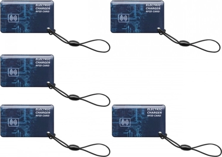 Autorizzazione RFID + 5 schede di accesso