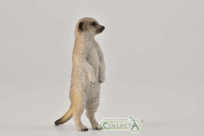 CollectA meerkat standing figurine