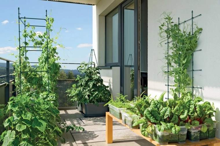 Ideel til haver og altaner