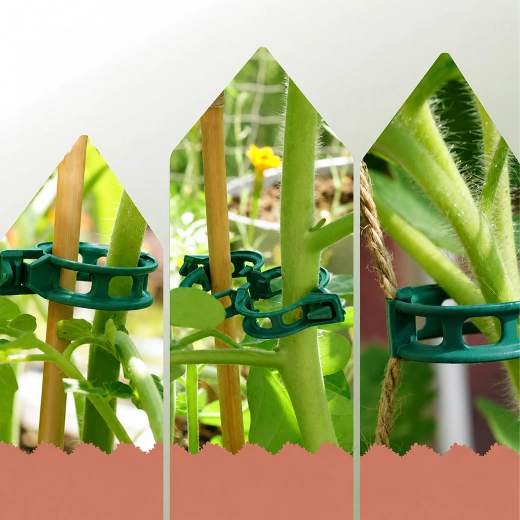 Stable support for tomatoes and other crops