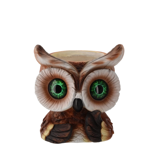 Practical shape for small plants and herbs