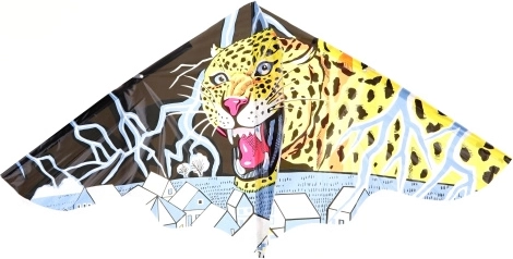 Kids' Kite 115 × 72 cm