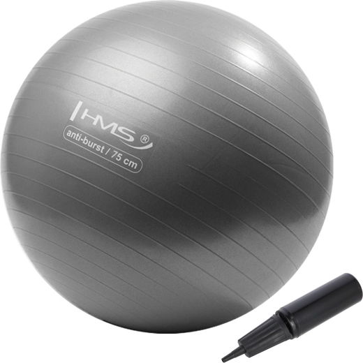 HMS Gym Ball 75 cm Grey-Silver