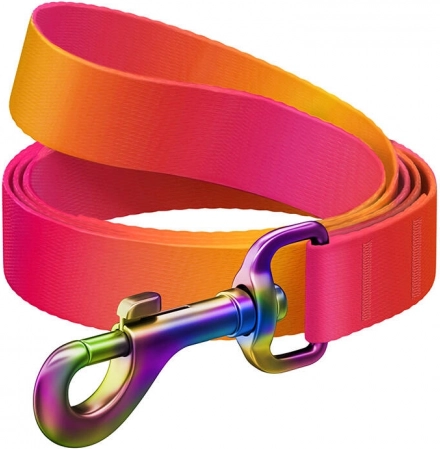 Waudog transitional nylon dog leash, orange