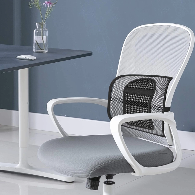 Orthopedic Back Support