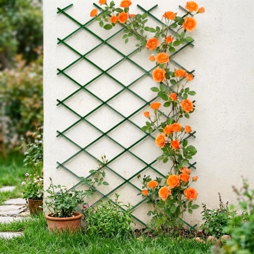 Esthétique soignée et installation facile