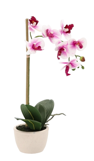 Fiori e foglie dall’aspetto naturale