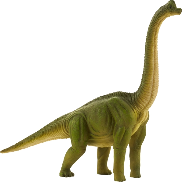 Mojo Big Brachiosaurus