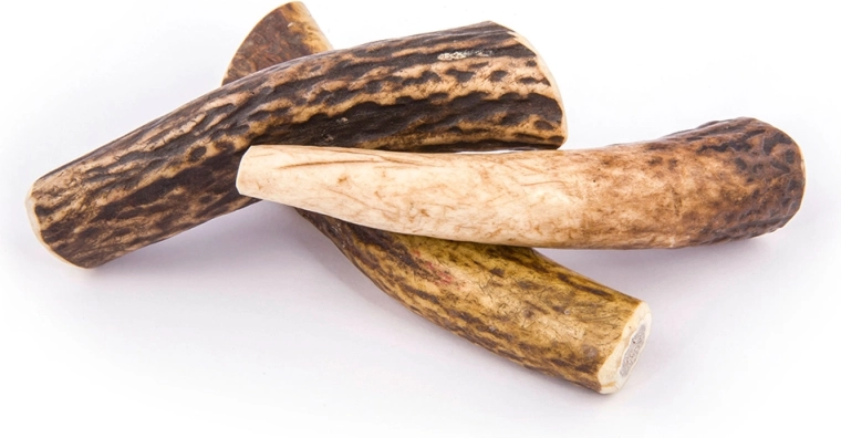 Mastication longue durée sans odeur