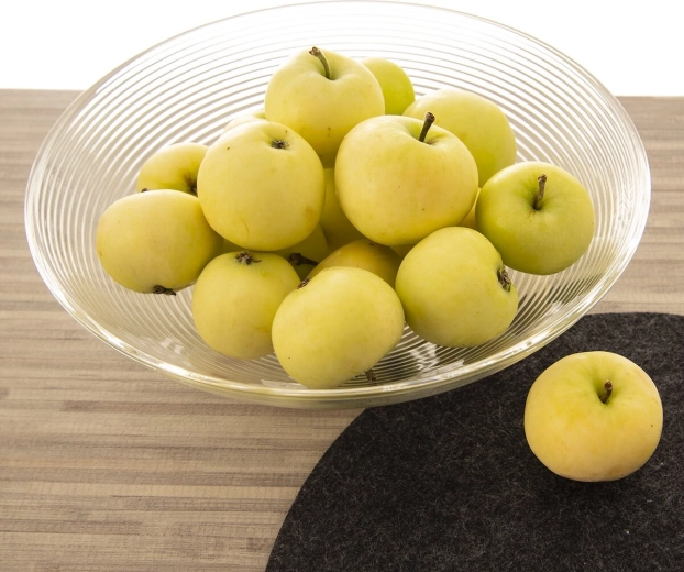 Saladier idéal pour les fruits et les en-cas