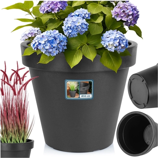 Large 48 cm diameter for standout planting