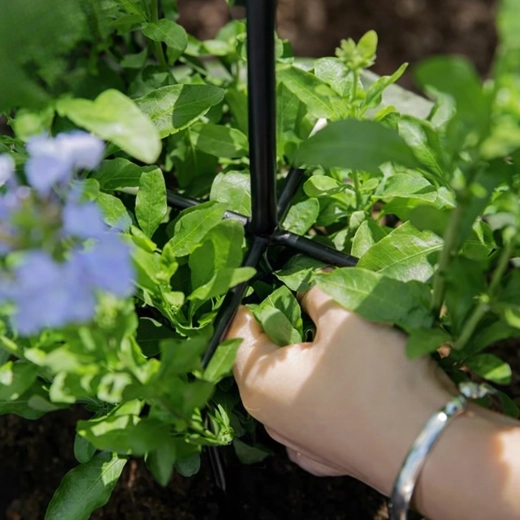 Supporto stabile per una fioritura rigogliosa