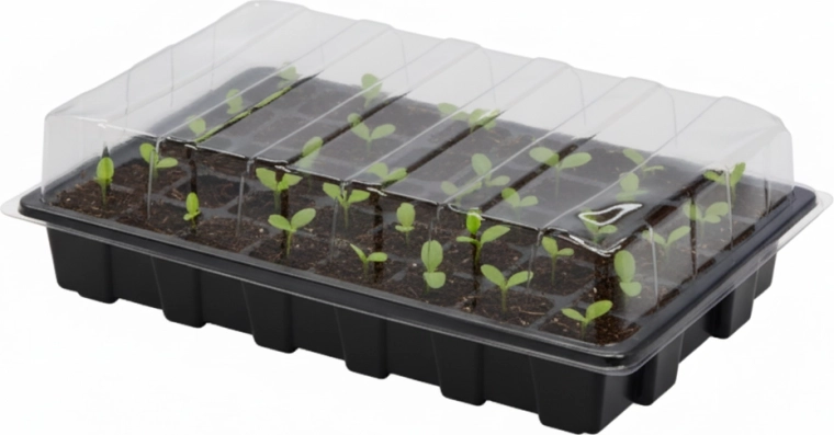 Mini greenhouse for seed starting, 40 cells
