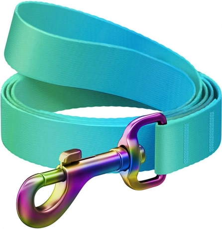 WAUDOG Dog Leash, Nylon, 122 cm, Blue