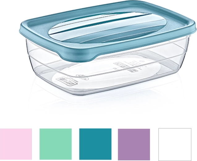 Compact shape and multiple lid colors