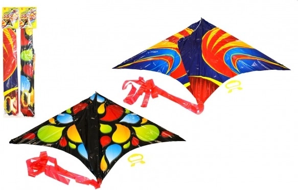 Flying kite