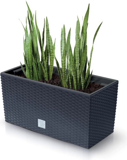 Un look rotin stylé qui dure