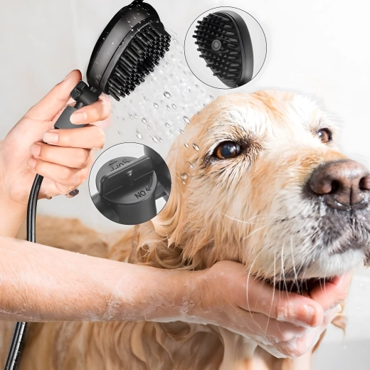 Bain confortable et brossage en un seul geste
