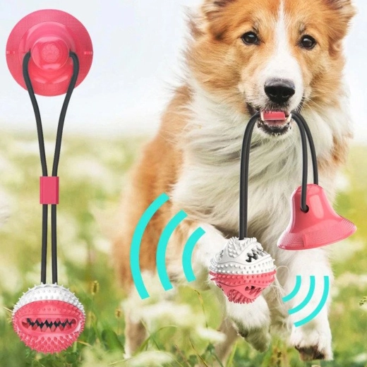 Healthy teeth and gums with every play session