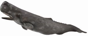 Whale from the Collecta Collection