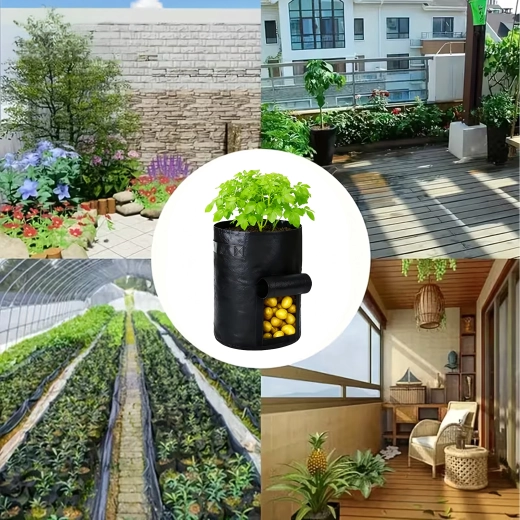 Trasporto e coltivazione ovunque