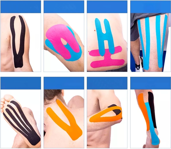 Support for muscles and joints during movement