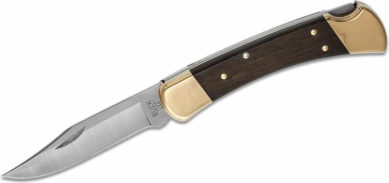 Buck 110 Hunter Lockback folding pocket knife 9.5 cm, ebony + leather sheath