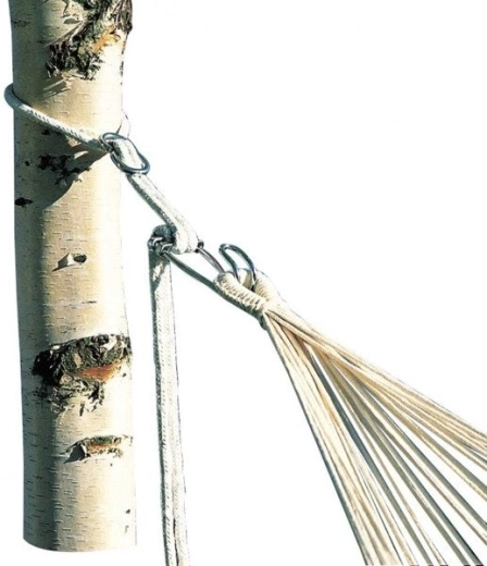 Fissaggio sicuro tra gli alberi