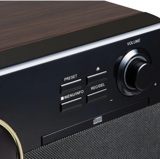 Complete home audio center