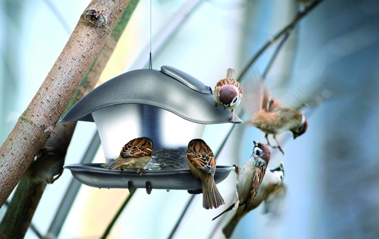Gennemsigtig beholder for nem kontrol af foder