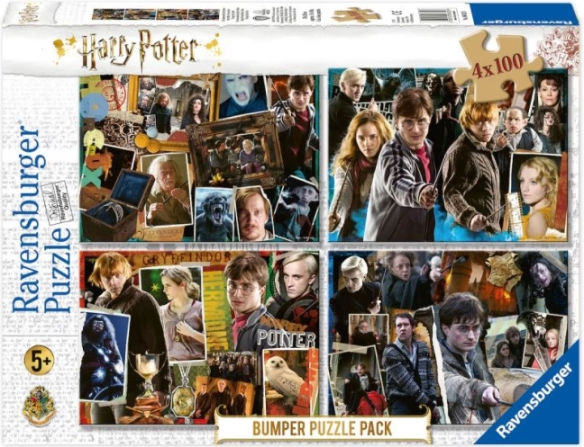 Puzzle 4x100 pezzi Harry Potter