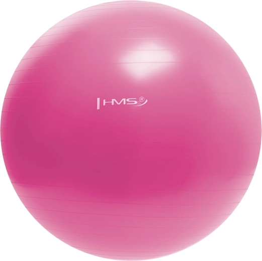 HMS Gym Ball 55 cm Pink