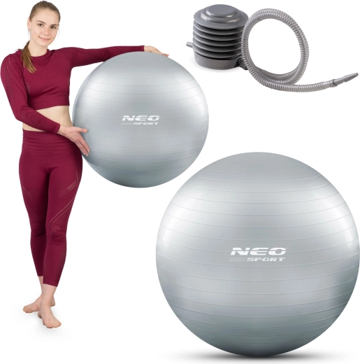Gym Ball 65 cm Silver with Pump