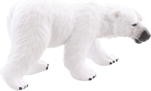 Ideale per la collezione e da esporre