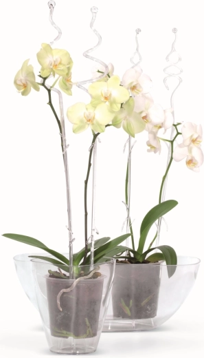 Easy monitoring and plant care