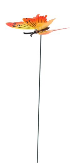 Placement facile dans la terre et les pots