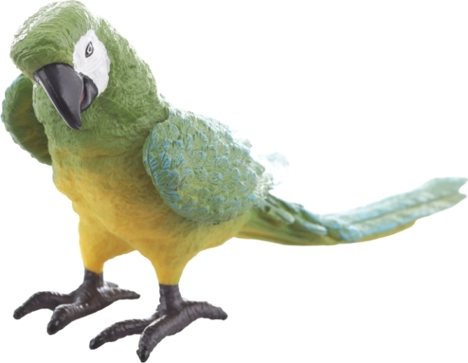 Materiale resistente e dimensioni pratiche