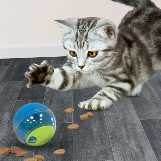 Snack come premio per l’attività