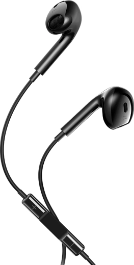 Wired Maxlife MXEP-04 USB-C Earphones, Black