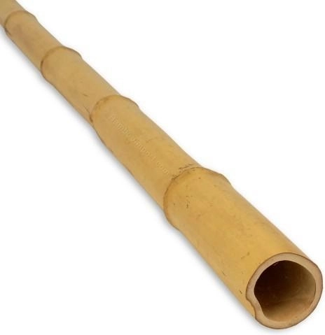 Bamboo Plant Support 75 cm, diameter 8–10 mm