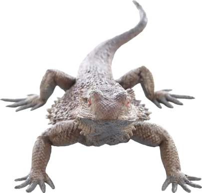 Safe and suitable for children aged 3+