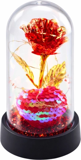 Protective transparent dome
