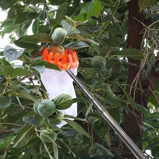 Corona in plastica delicata e sacco profondo
