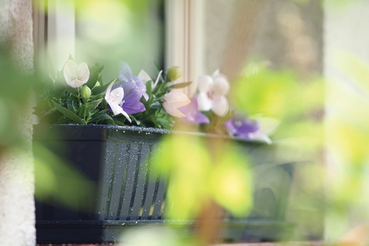 Prête pour les conditions extérieures